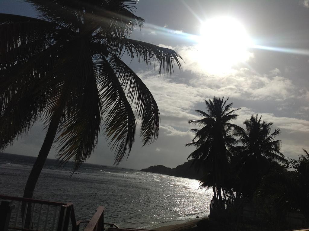 Rainbow Beach Apartments & Rooms Calibishie ห้อง รูปภาพ