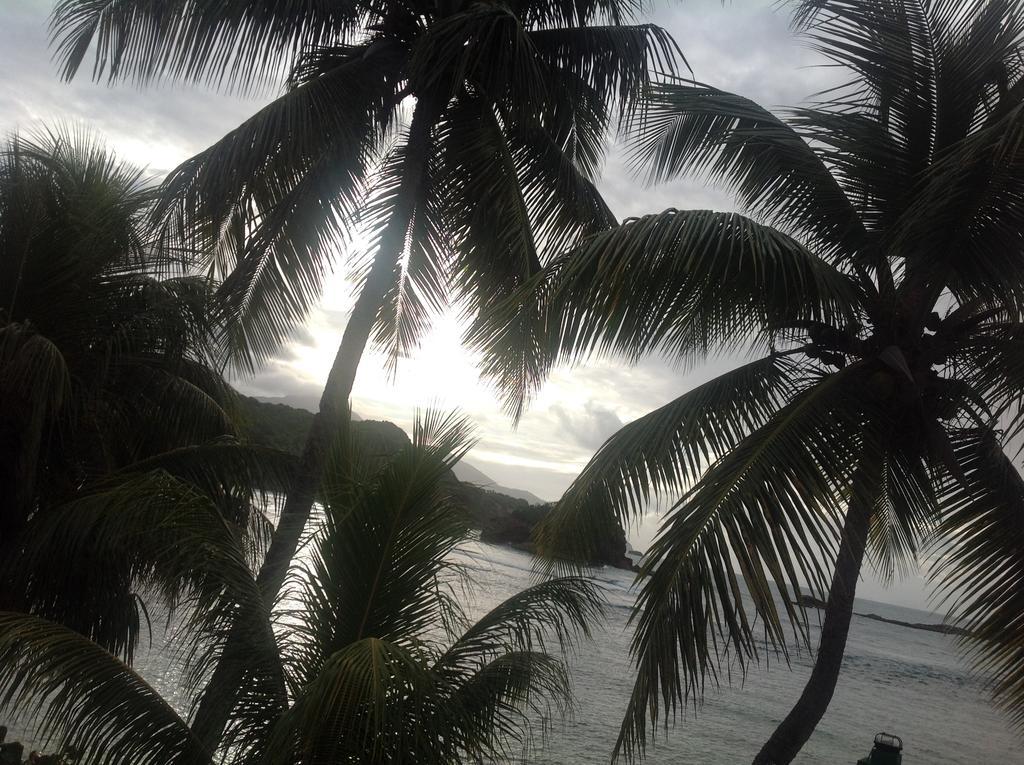 Rainbow Beach Apartments & Rooms Calibishie ภายนอก รูปภาพ