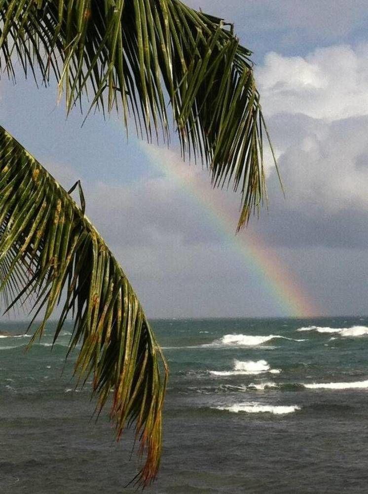 Rainbow Beach Apartments & Rooms Calibishie ภายนอก รูปภาพ